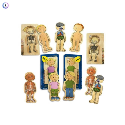 h76 신비한 인체퍼즐 SET ( 남_여 )