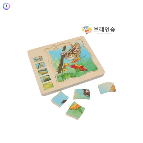 h76 생태성장퍼즐-나비