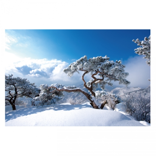 [키즈디자인] 겨울배경현수막 6269 설산 상고대