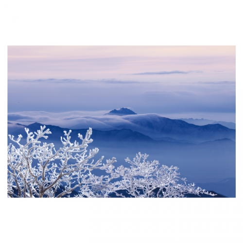 [키즈디자인] 겨울배경현수막 6274 설산 상고대