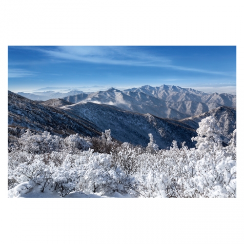 [키즈디자인] 겨울배경현수막 6275 설산 상고대