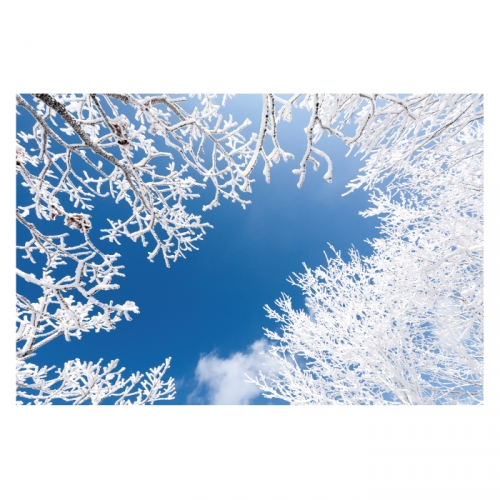 [키즈디자인] 겨울배경현수막 6276 설산 상고대