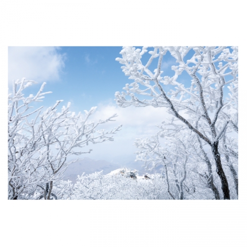 [키즈디자인] 겨울배경현수막 6278 설산 상고대