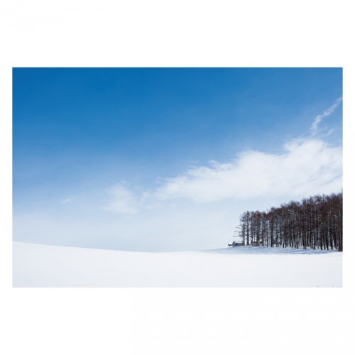 [키즈디자인] 겨울배경현수막 6279 설산 눈밭