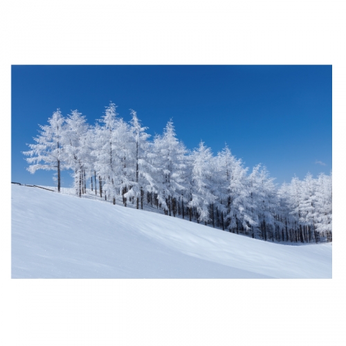 [키즈디자인] 겨울배경현수막 6282 설산