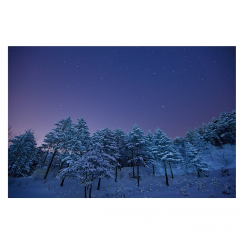 [키즈디자인] 겨울배경현수막 6283 설산 겨울야경