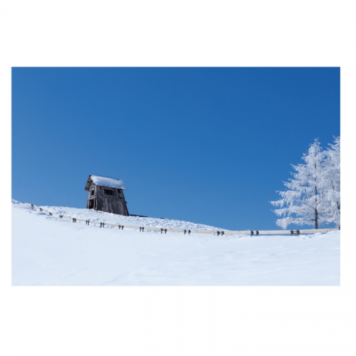 [키즈디자인] 겨울배경현수막 6286 설산 눈밭 눈언덕