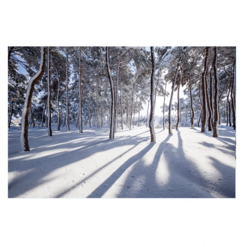 [키즈디자인] 겨울배경현수막 6287 설산 눈길