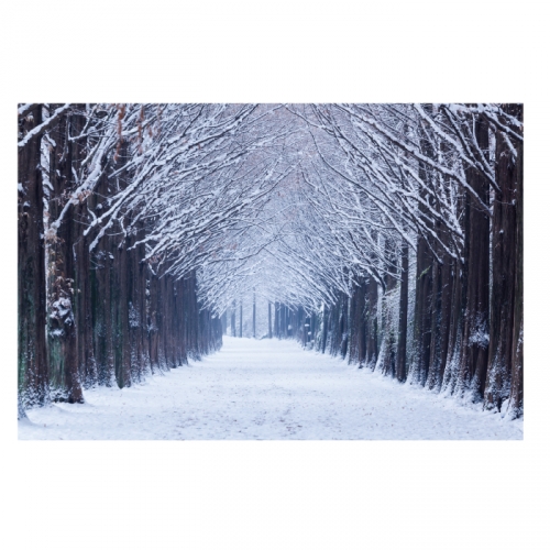 [키즈디자인] 겨울배경현수막 6288 설산 눈길 겨울숲속