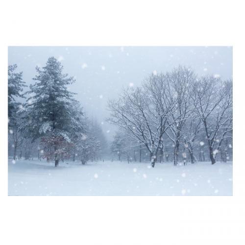 [키즈디자인] 겨울배경현수막 6290 설산 눈길 겨울숲속