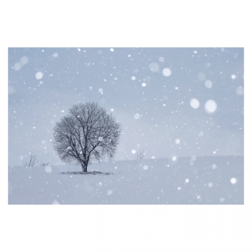 [키즈디자인] 겨울배경현수막 6291 설산 눈밭