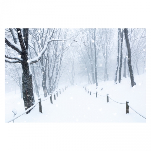 [키즈디자인] 겨울배경현수막 6292 설산 눈길 눈밭