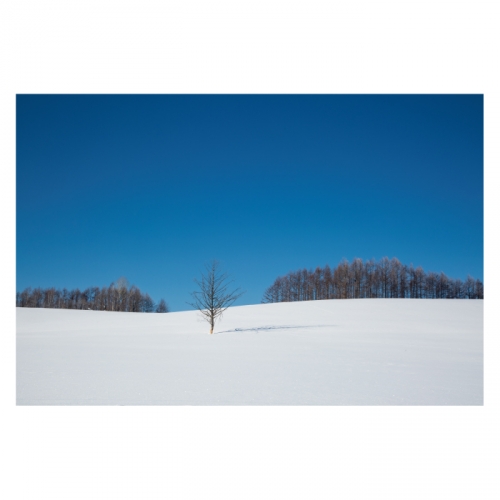 [키즈디자인] 겨울배경현수막 6293 설산 눈밭 눈언덕