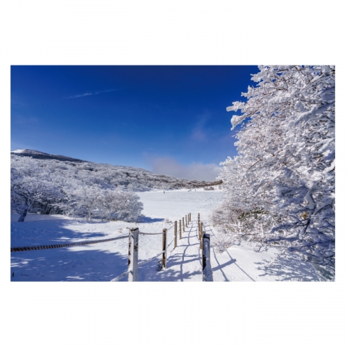 [키즈디자인] 겨울배경현수막 6295 설산 눈길