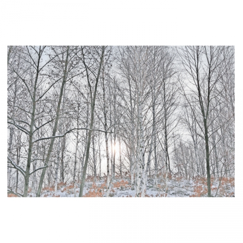 [키즈디자인] 겨울배경현수막 6296 설산 겨울숲속