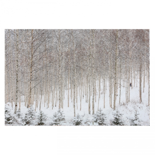 [키즈디자인] 겨울배경현수막 6297 설산 겨울숲속
