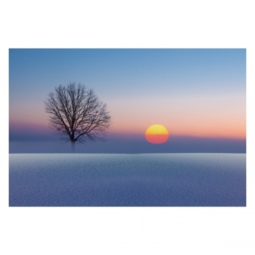 [키즈디자인] 겨울배경현수막 6306 일출