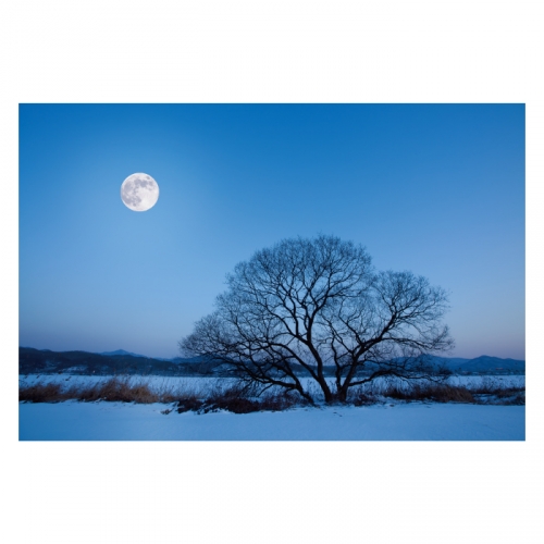 [키즈디자인] 겨울배경현수막 6307 겨울야경