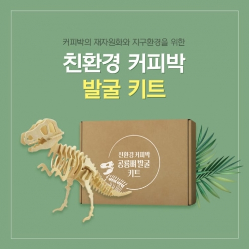 친환경 커피박 공룡 화석 발굴 DIY 키트