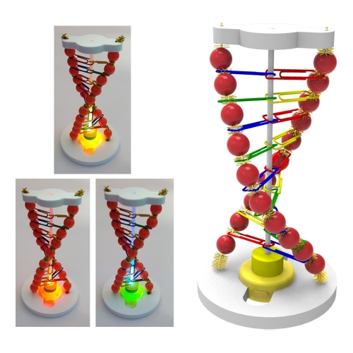 뉴 LED DNA 조명등