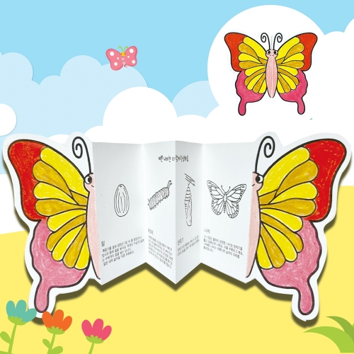 [대원P&P] 자연관찰 폴딩북