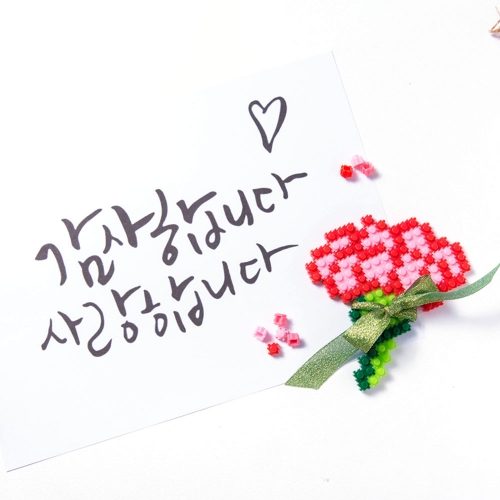 디폼블럭 카네이션 패키지 8mm