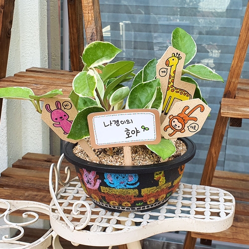 [만꾸] 식목일 블랙화분 꾸미기(5인용)