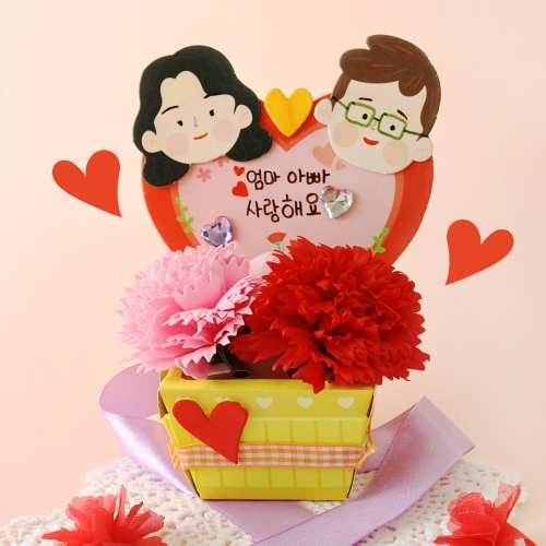 하트 카네이션 방향제 5set