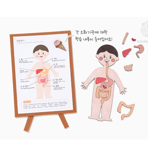 186 재미있는 인체지도
