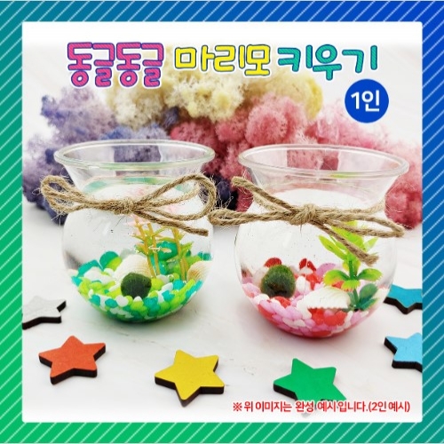 동글동글 마리모 키우기