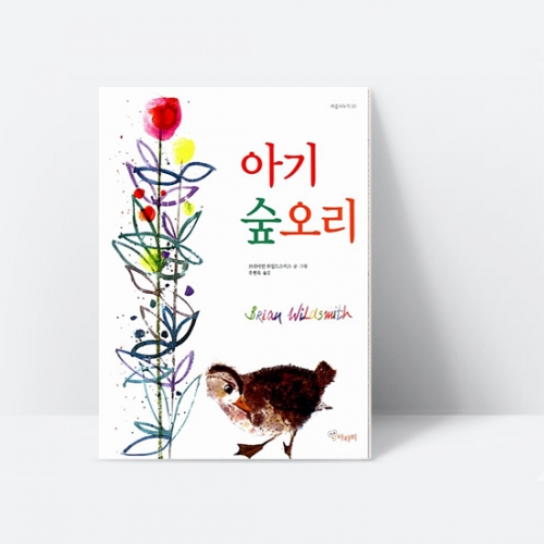 [아라미] 아기 숲 오리