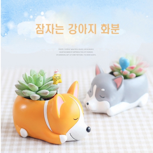 체험학습용 잠자는 강아지 시리즈 8종