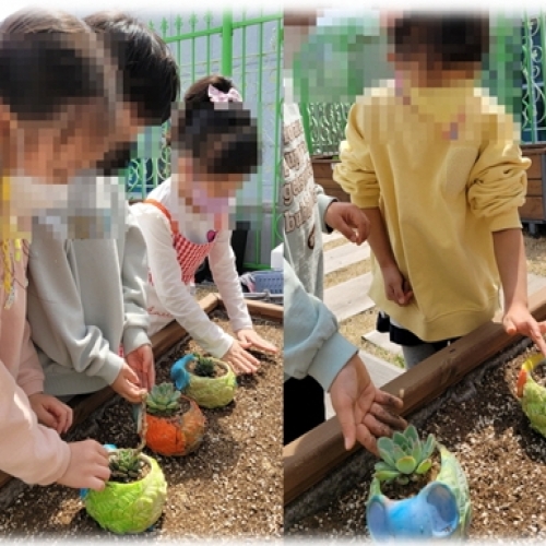 화분색칠 및 식물심기 체험 학습용 캐릭터 화분 6종 세트