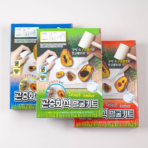 6000곤충화석발굴키트