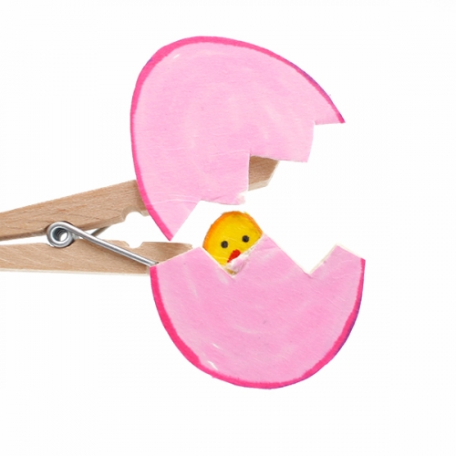 원목나무집게