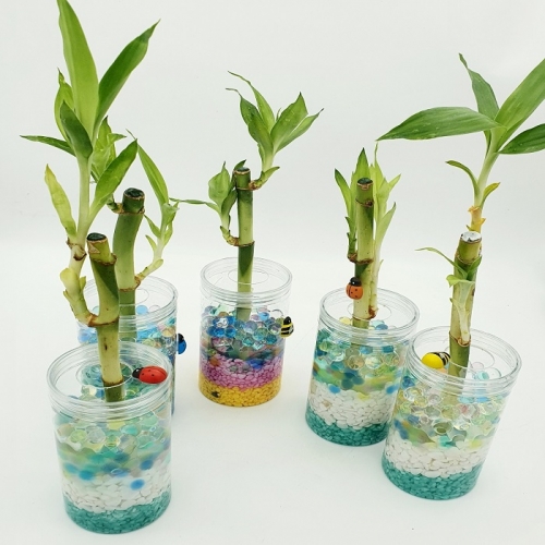 천연염색(손수건50*50)30인분