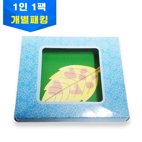 카레지시약 나뭇잎액자 개별키트 1인용키트