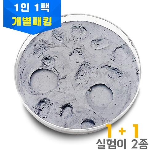 달표면만들기 개별키트 1인용키트