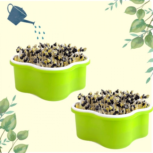 콩나물 키우기 기르기 키트_관찰일지 포함