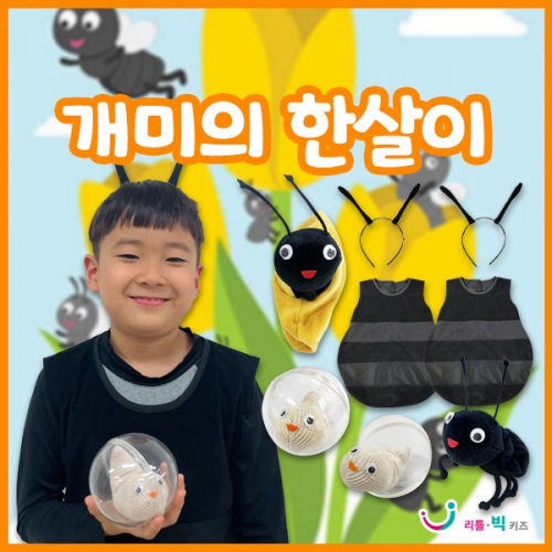 [리틀빅키즈] 개미의 한살이