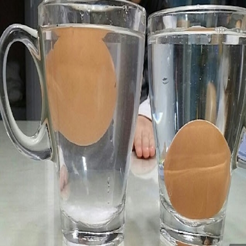 펀펀 사이언스 체험교실