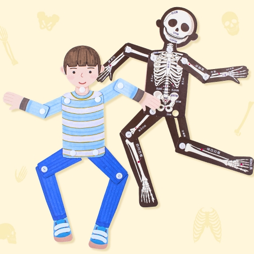 관절 인형