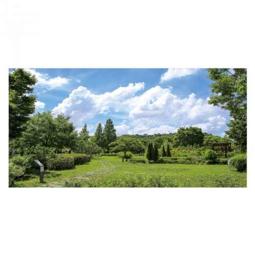 [키즈디자인] 숲속배경현수막 6390 들판 잔디