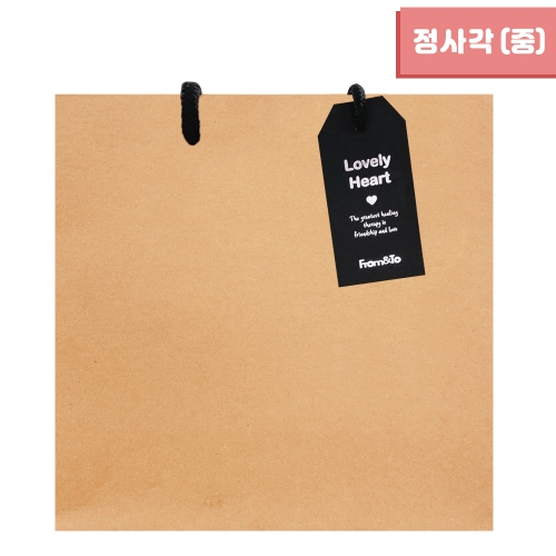 무지 정사각 쇼핑백 (중) 25x24x10 (10매)