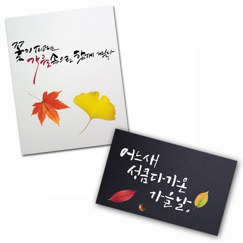 단풍잎 투명 스티커(3매)