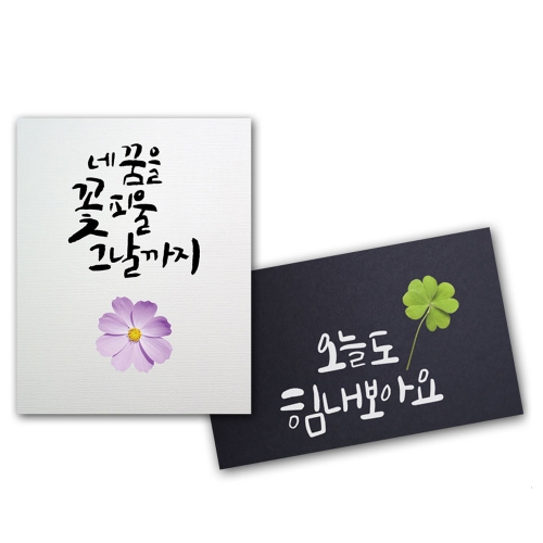 가을꽃낙엽 투명방수스티커(3장 1set)