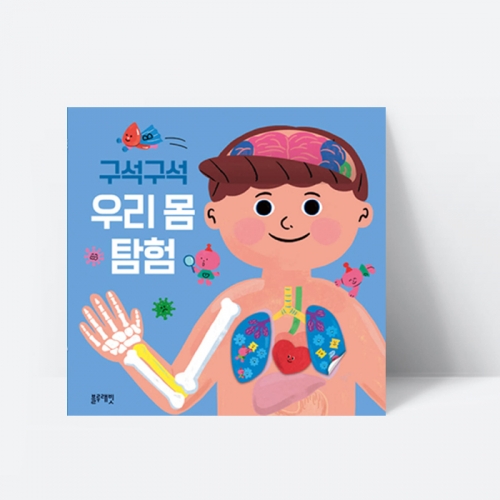 보드북 구석구석 우리 몸 탐험 학습교재_블루래빗