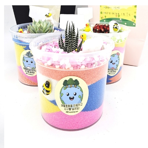 다육이테라리움(샌드아트)5인(식물십이지권)