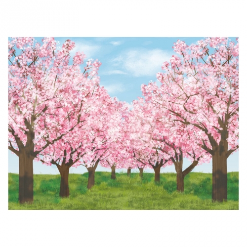 [키즈디자인] 봄배경현수막 6401 벚꽃