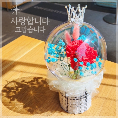 아크릴 볼 카네이션 화분